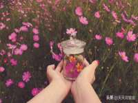 山东锦尚网络科技有限公司