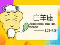 山东锦尚网络科技有限公司