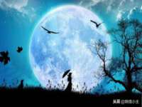 山东锦尚网络科技有限公司