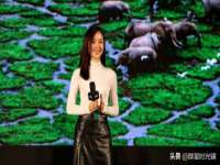 山东锦尚网络科技有限公司