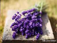 山东锦尚网络科技有限公司