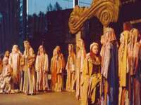 山东锦尚网络科技有限公司