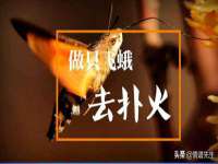 山东锦尚网络科技有限公司