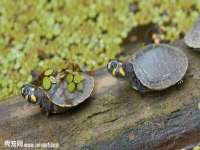 山东锦尚网络科技有限公司