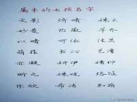 山东锦尚网络科技有限公司
