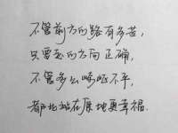 山东锦尚网络科技有限公司