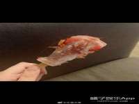 山东锦尚网络科技有限公司